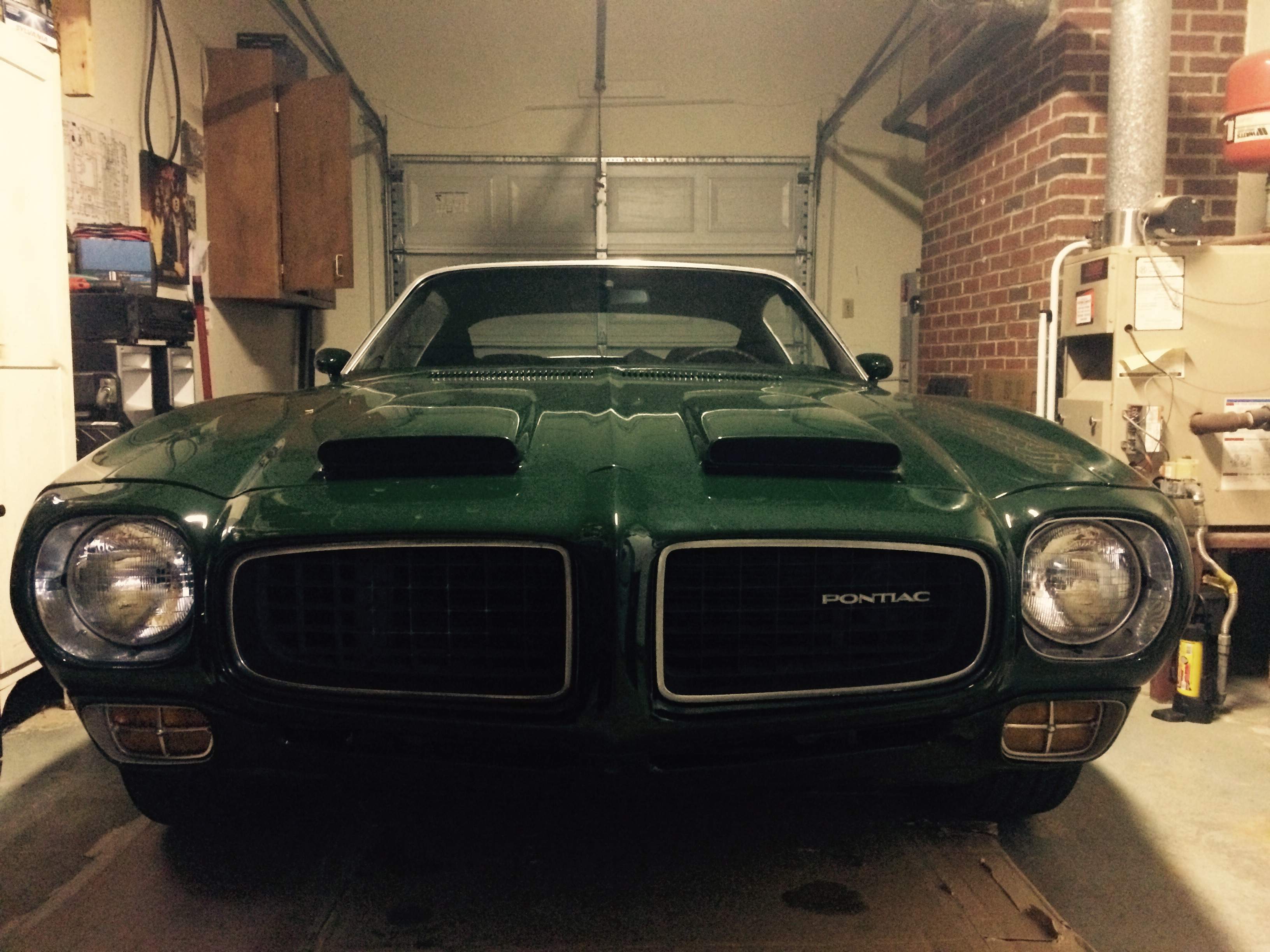garagebird.jpg