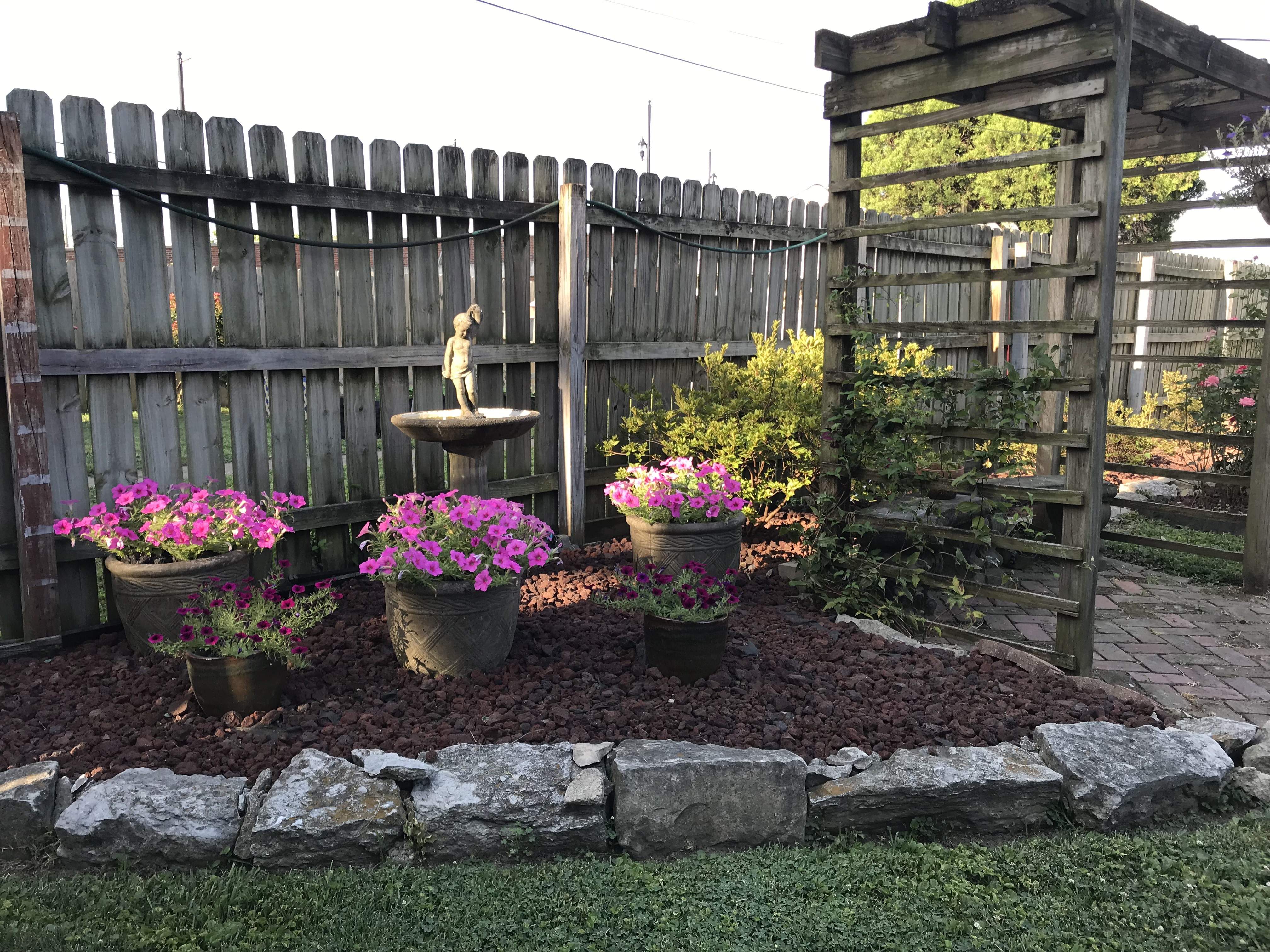 Garden 1.JPG