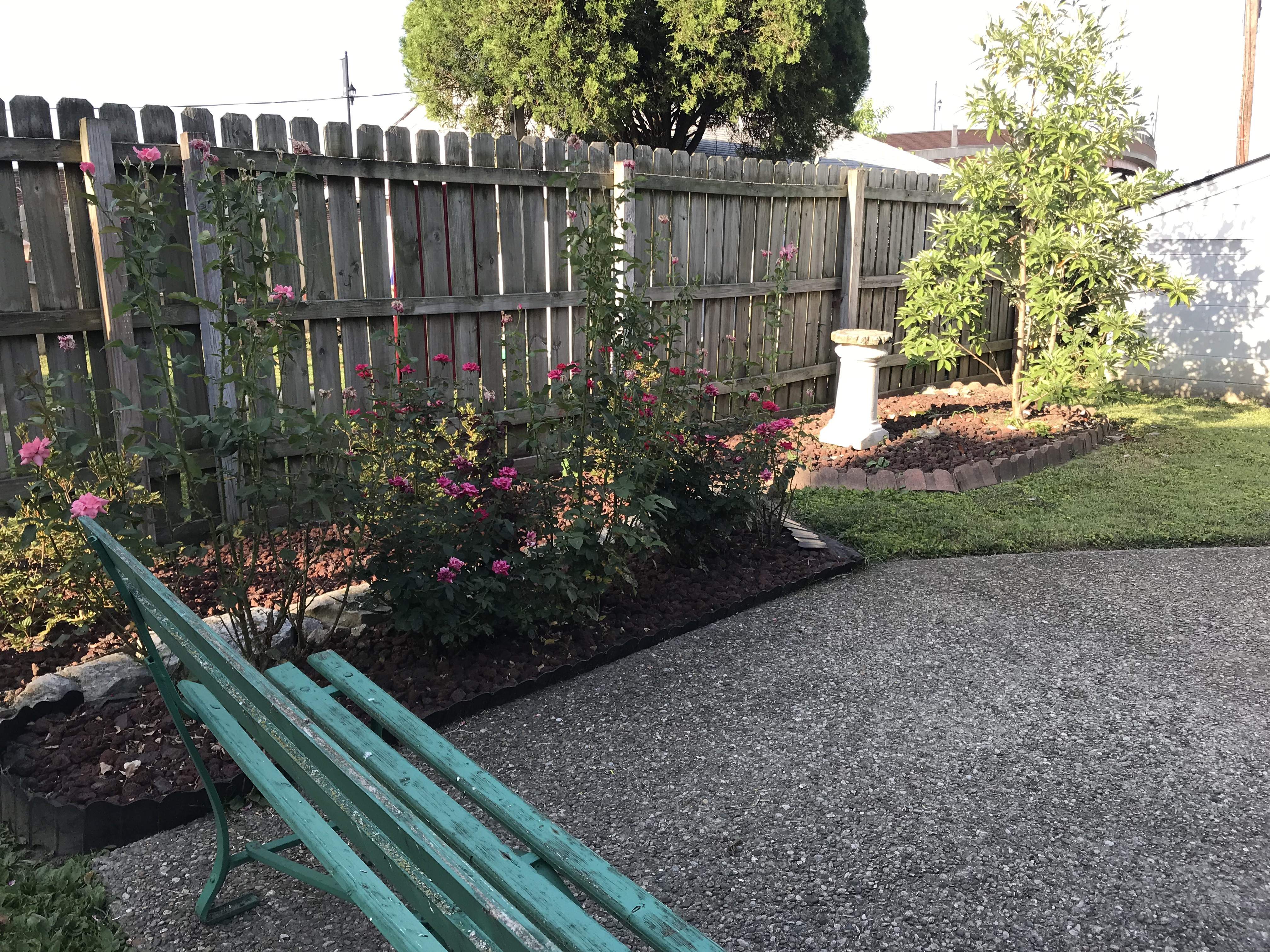 Garden 2.JPG