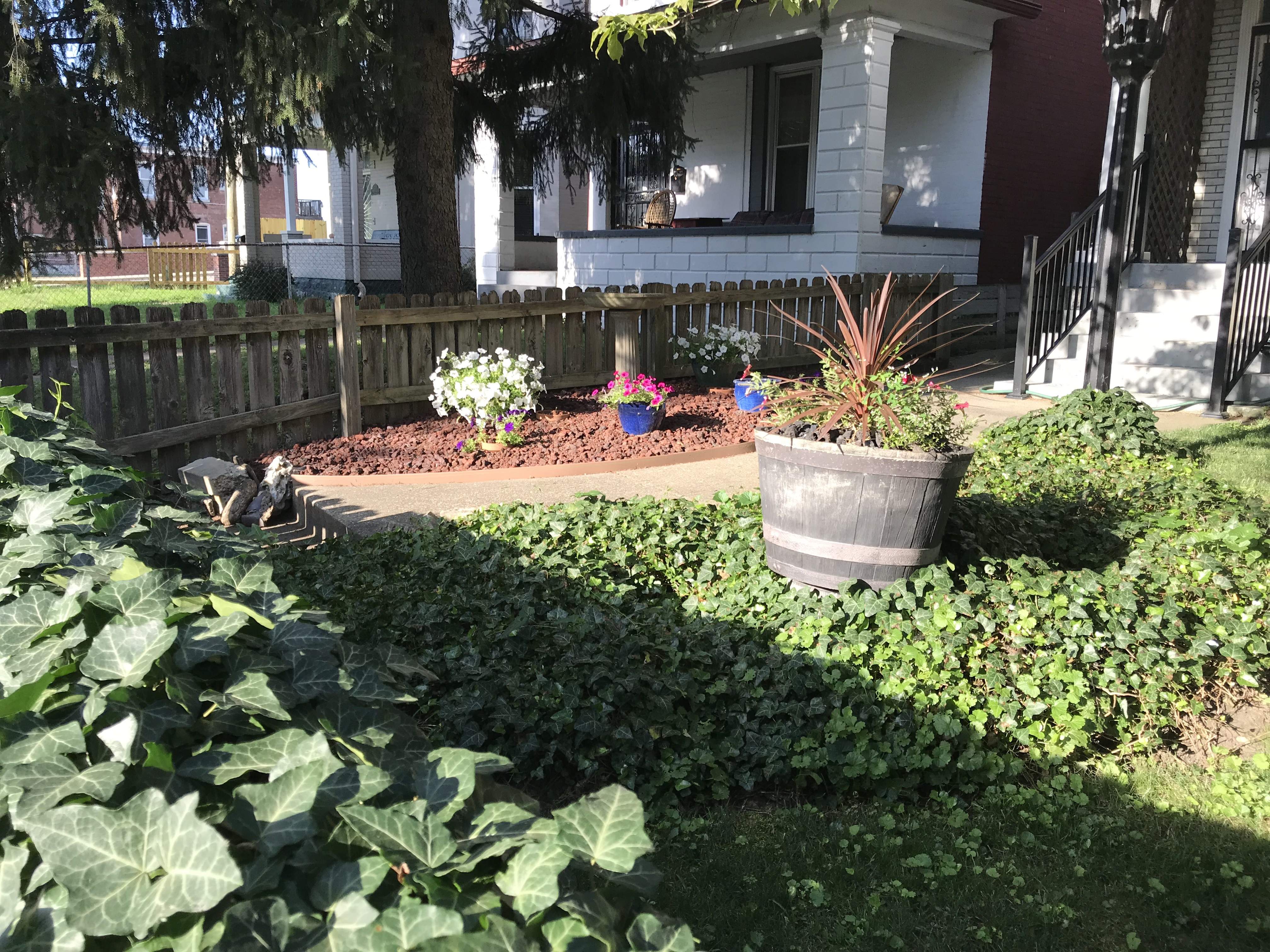 Garden 3.JPG