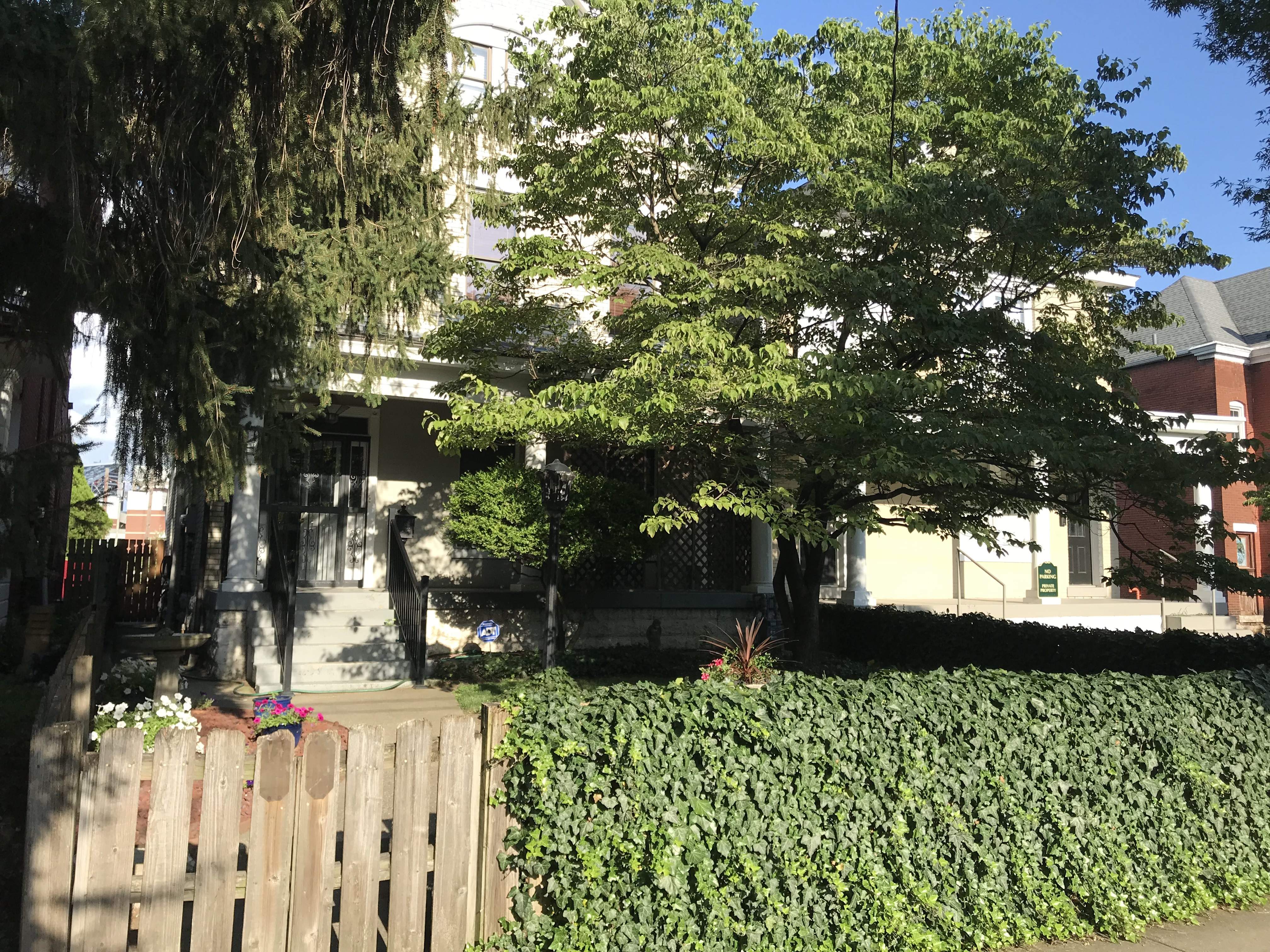 Garden 4.JPG