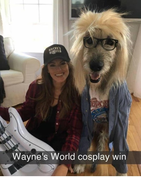 garth dog.jpg