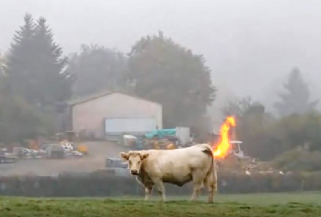 GAS.JPG