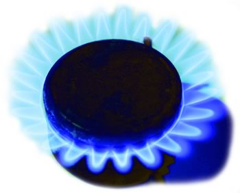 gas_cove_08.jpg