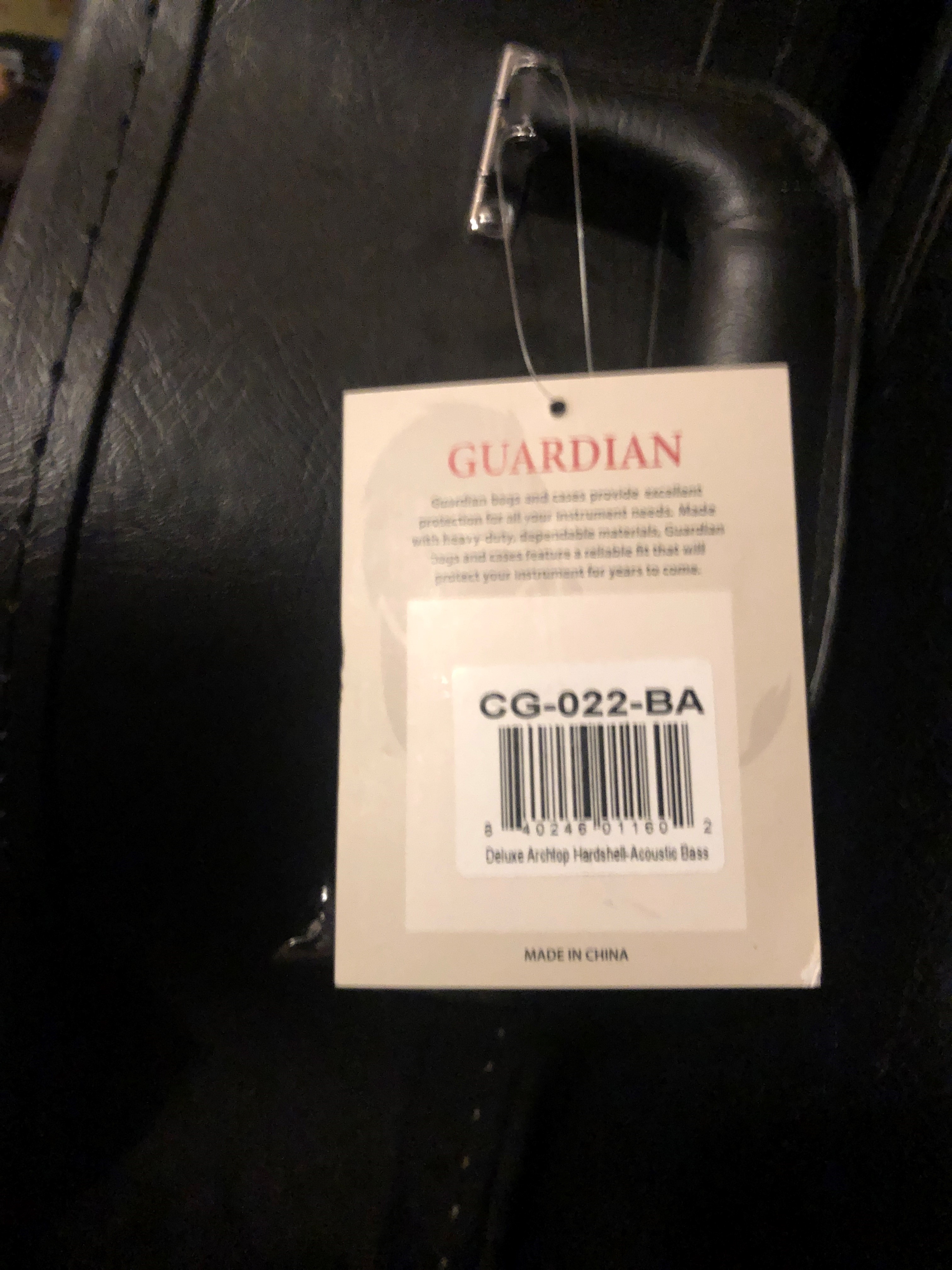 gaurdian case.jpg