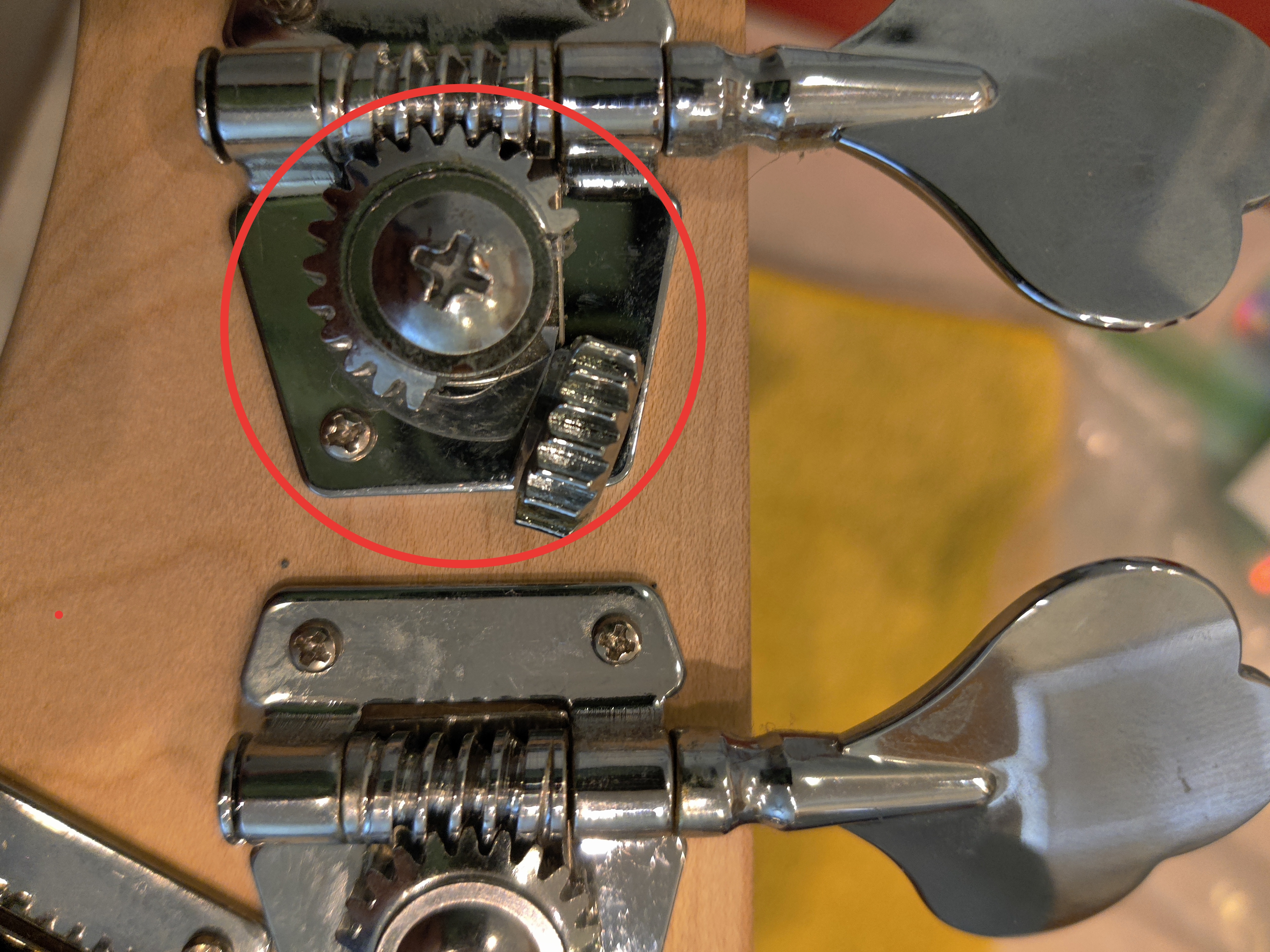 gear.jpg