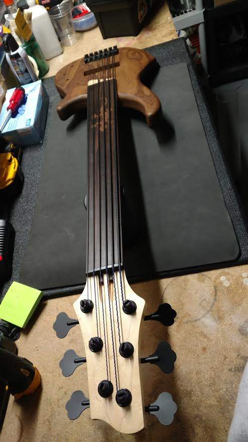 Gecko 6FL Hardware on Front 1.jpg