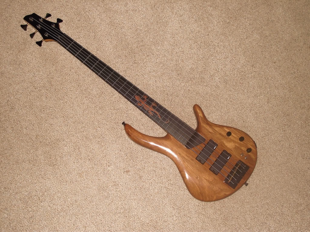 Gecko3.jpg