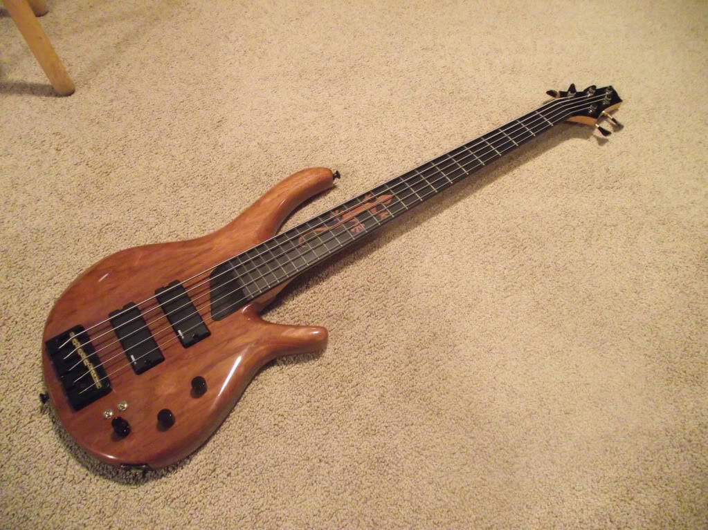 Gecko4.jpg