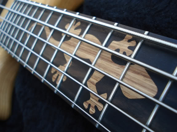 Gecko5_angle1.jpg