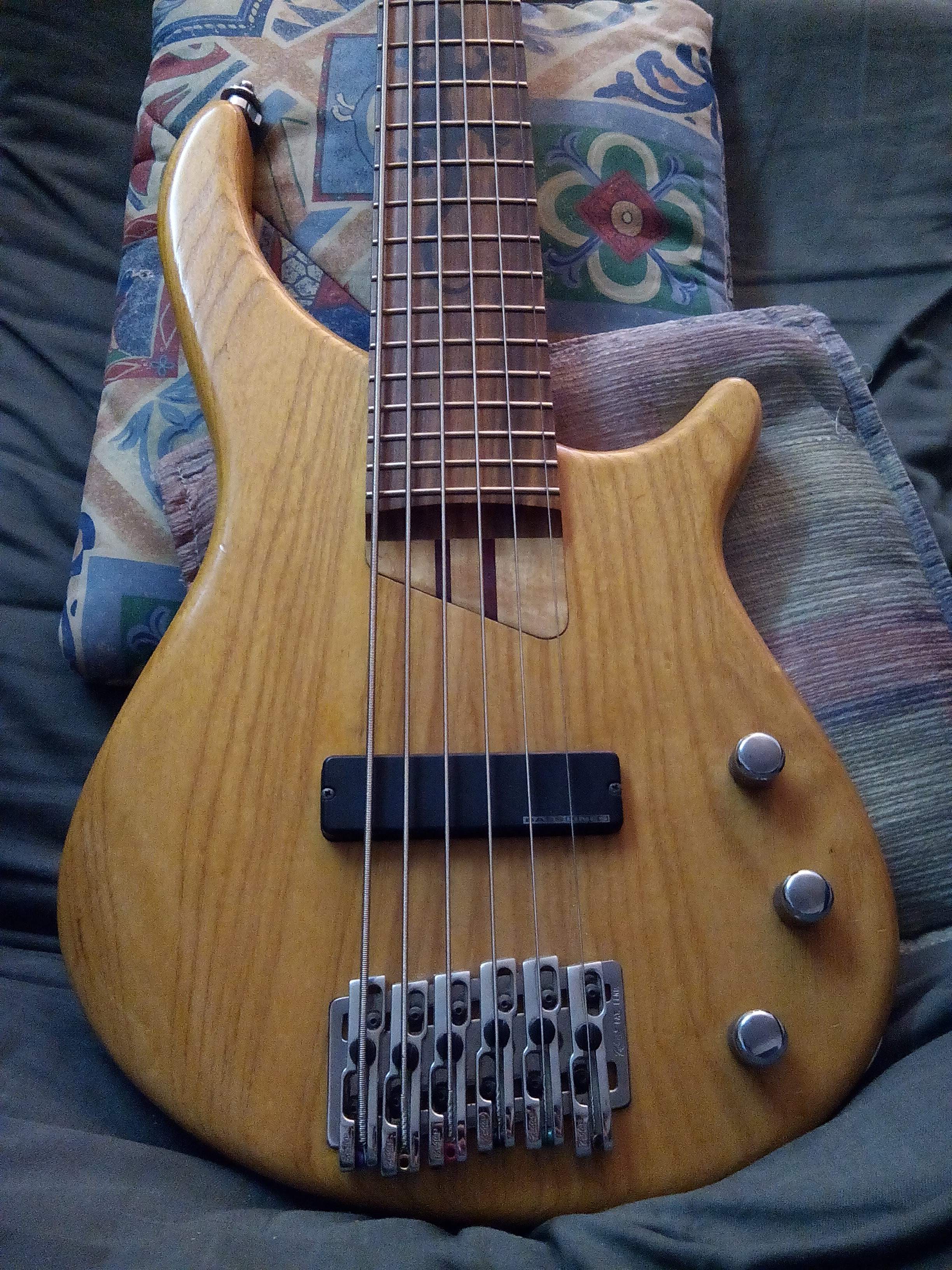 gecko6.jpg