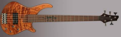 gecko_5string.jpg