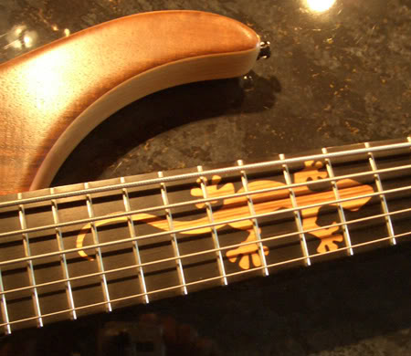 geckoinlay.jpg