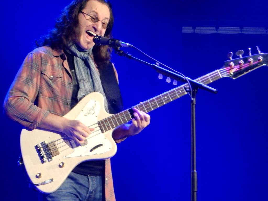 geddy 2.jpg