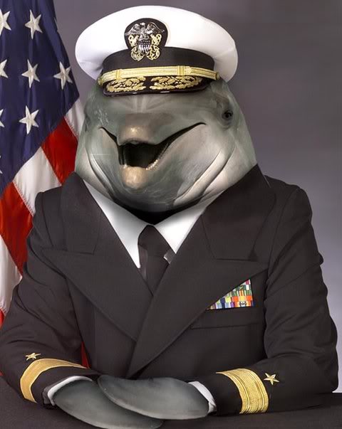 GeneralDolphin.jpg