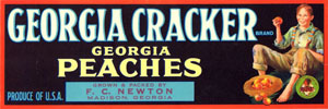 Georgia_cracker_peaches.jpg