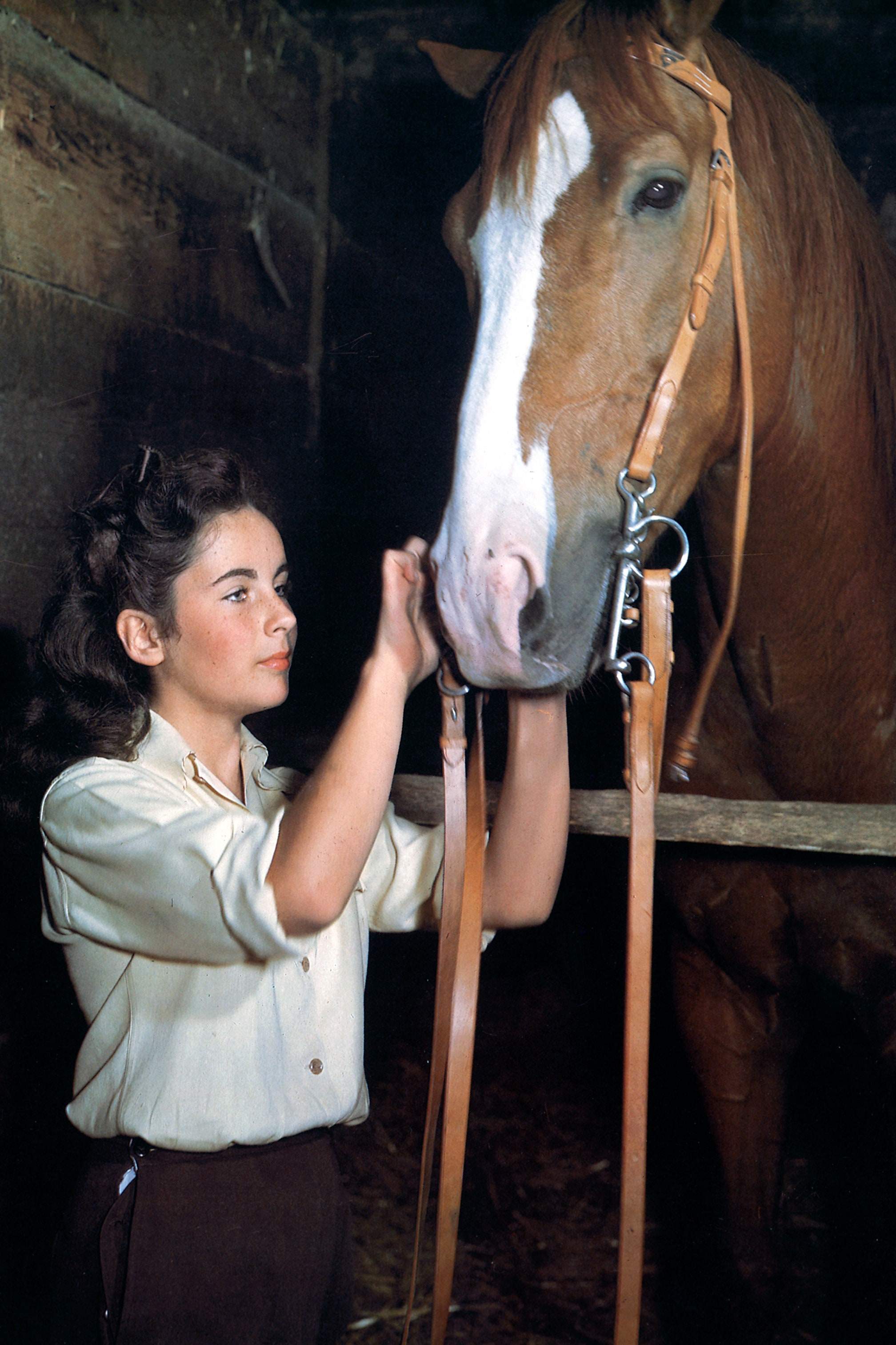 GettyImages-119588386.jpeg