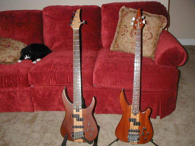 GF basses.jpg