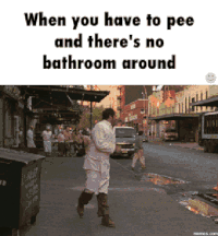 gga23.gif