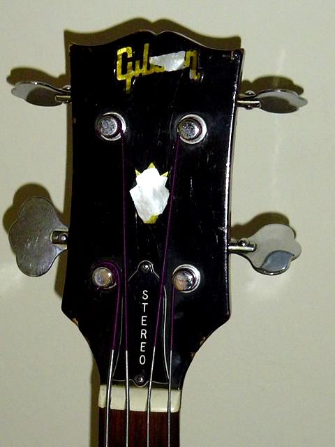Gibhead.jpg