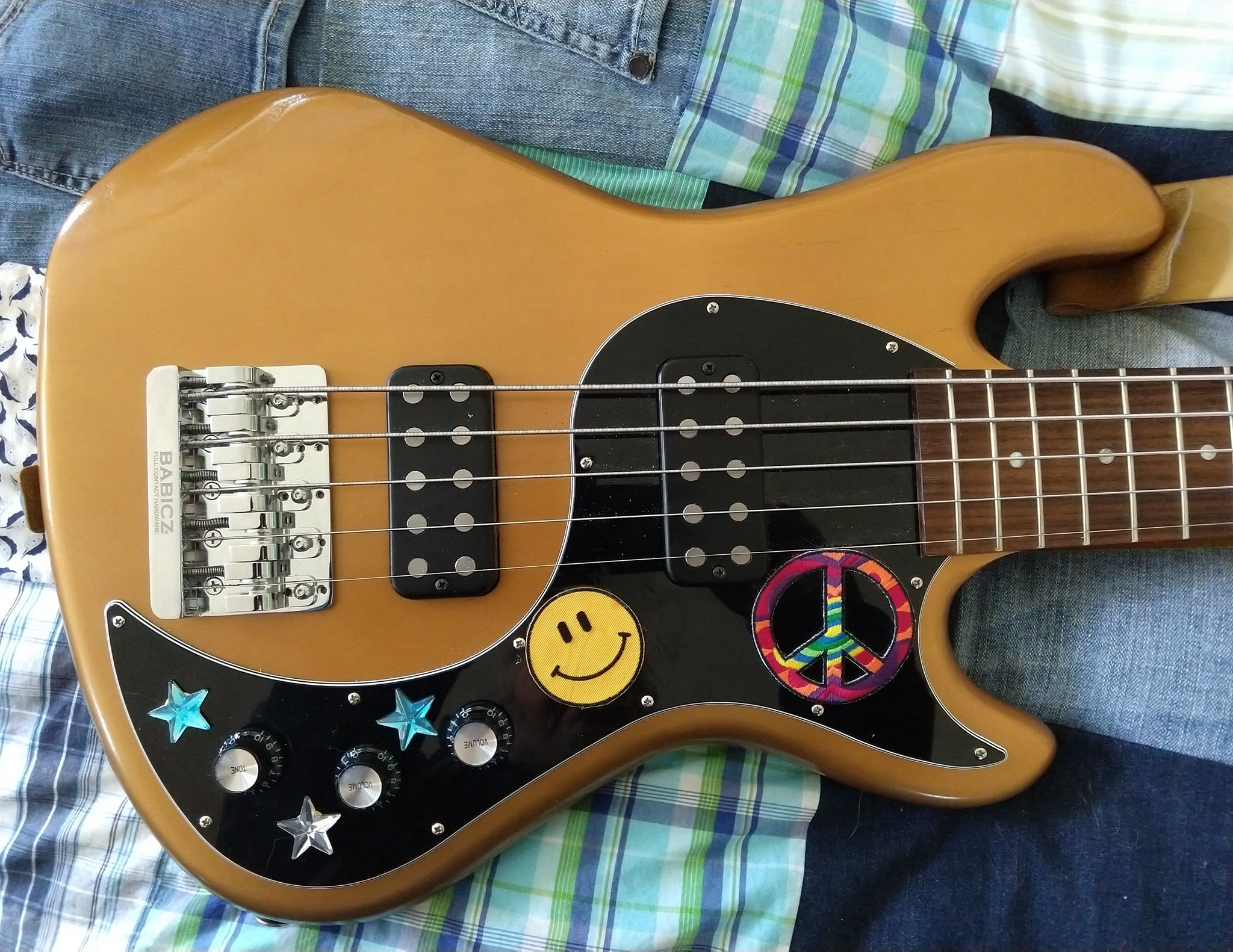 Gibson EB14 Hippie Front.png