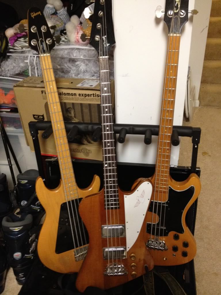 gibsons.jpg