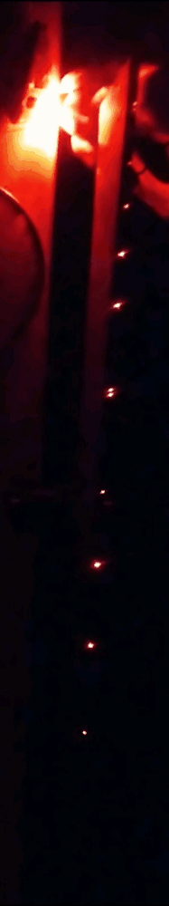GIF-230108_231650.gif