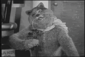 gif.gif