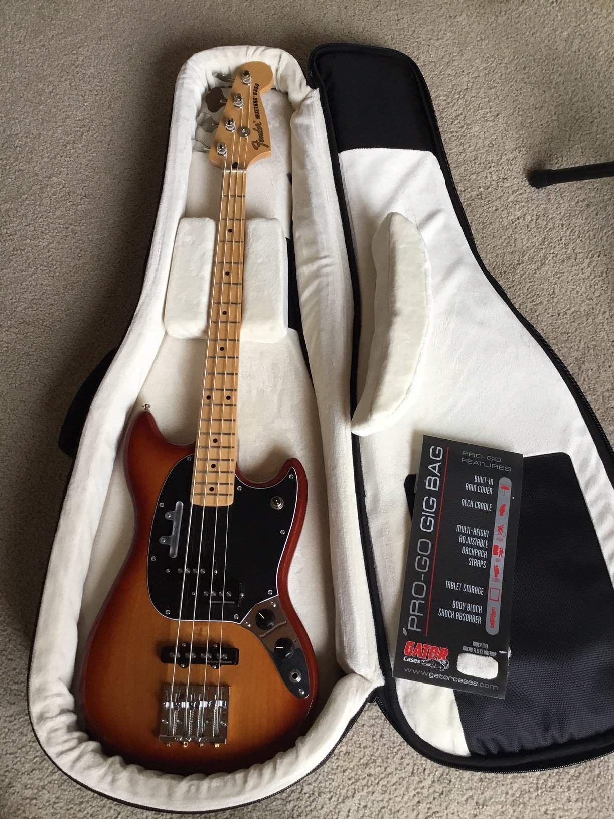 Gigbag.JPG