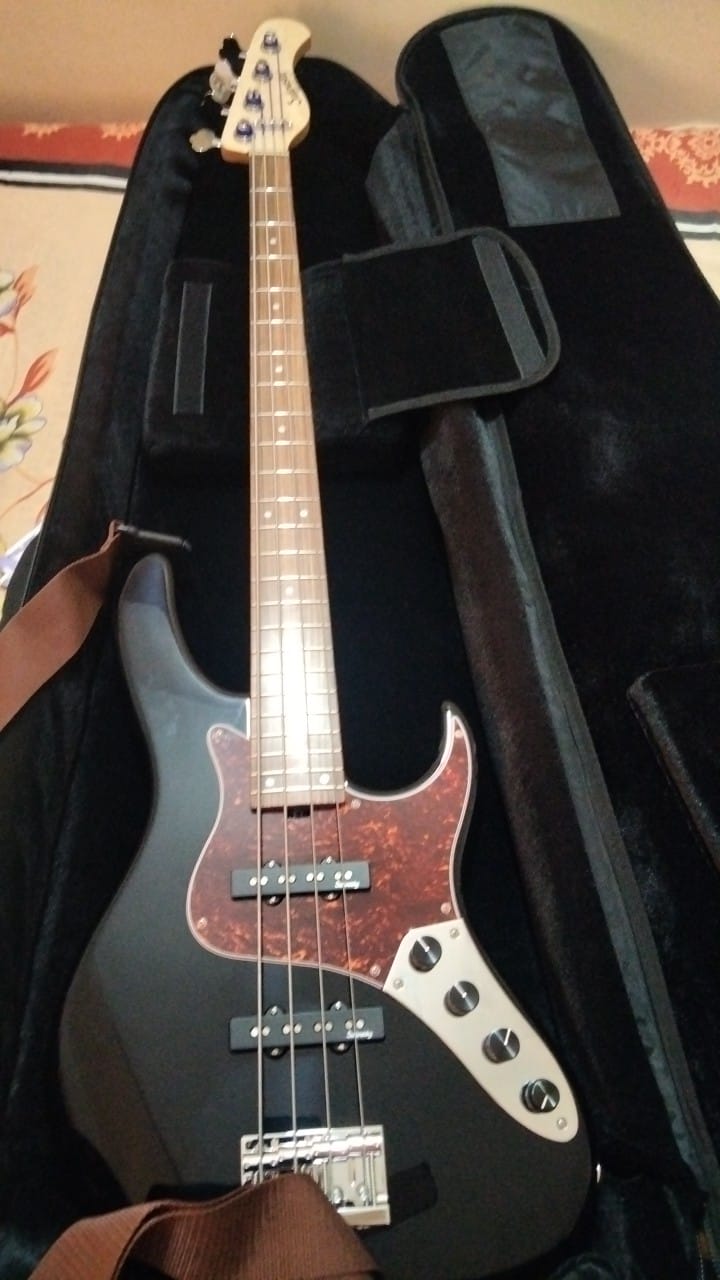 Gigbag.jpg