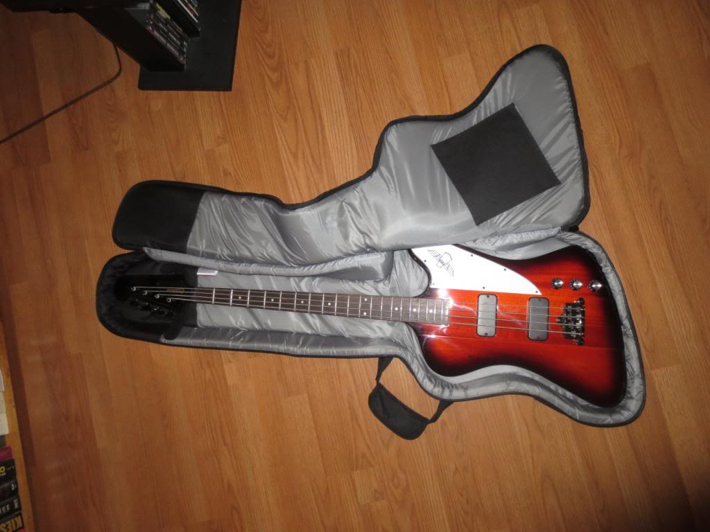 gigbag002_zps64b3cc65.jpg