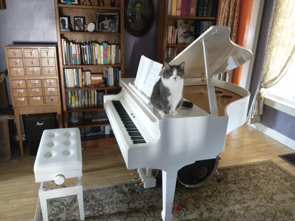 Gigi & Tesla.jpg