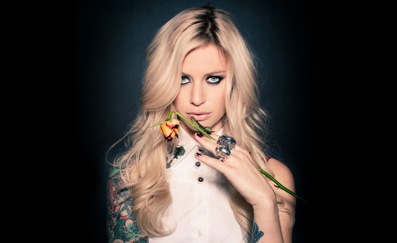 gin-wigmore-10.jpg