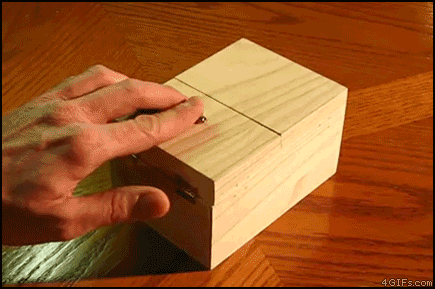 giphy-1-1.gif