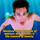 giphy-1.gif
