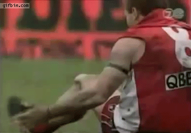 giphy (1).gif