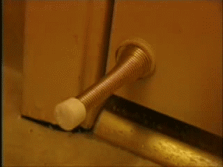giphy (1).gif