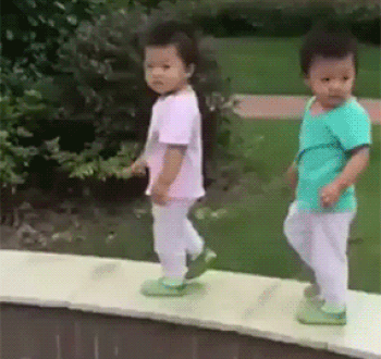 giphy (1).gif