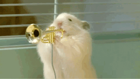 giphy (12).gif