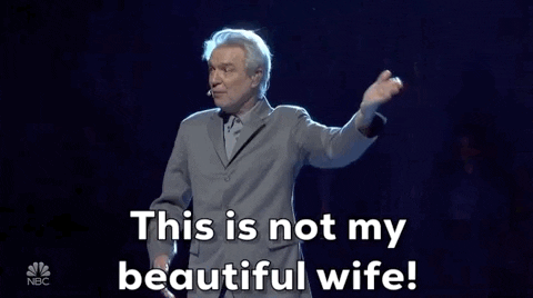 giphy (15).gif