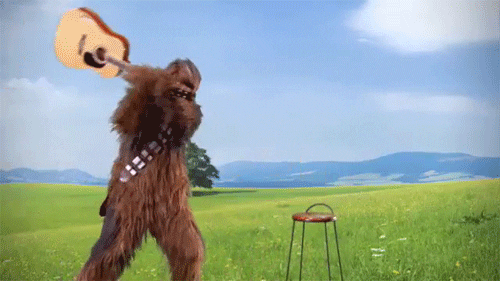 giphy (16).gif