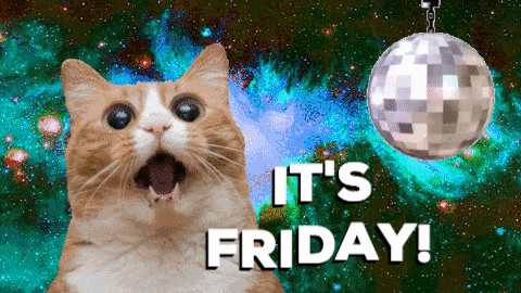 giphy-16.gif