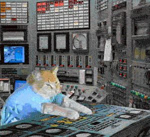 giphy (22).gif