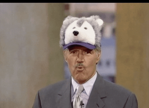 giphy (32).gif