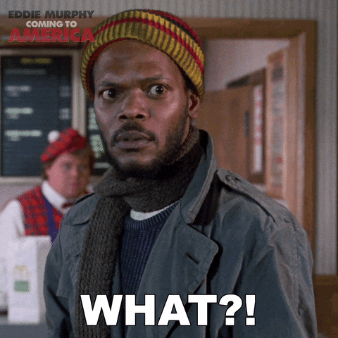 giphy (34).gif