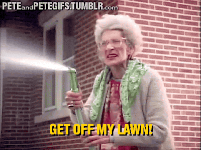 giphy-4.gif