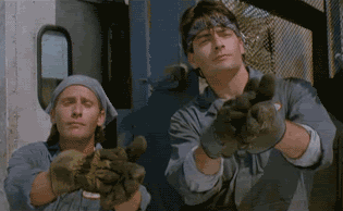 giphy(4).gif