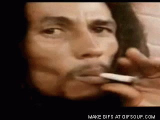 giphy (4).gif