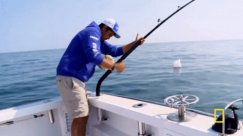 giphy (57).gif