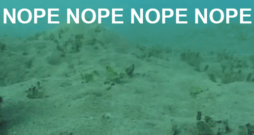 giphy (67).gif